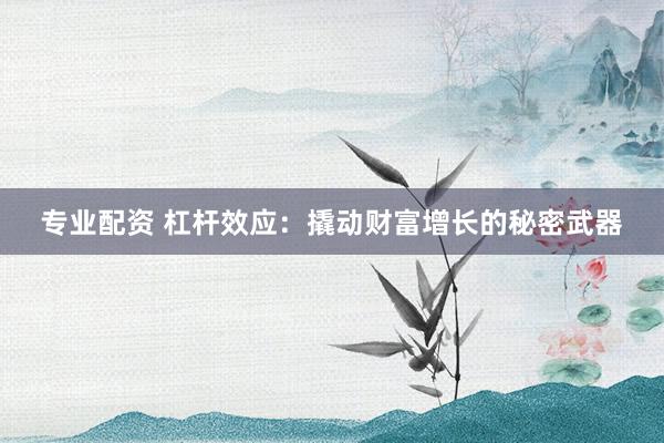 专业配资 杠杆效应：撬动财富增长的秘密武器
