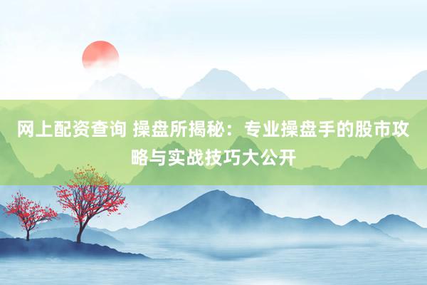 网上配资查询 操盘所揭秘：专业操盘手的股市攻略与实战技巧大公开