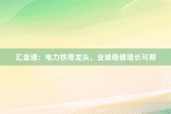 汇金通：电力铁塔龙头，业绩稳健增长可期