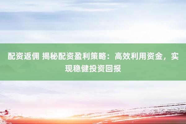 配资返佣 揭秘配资盈利策略：高效利用资金，实现稳健投资回报