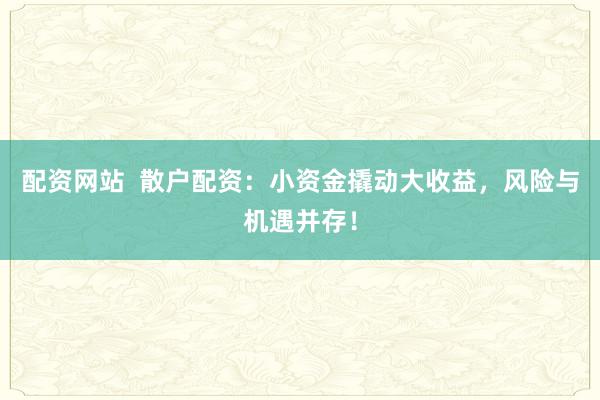 配资网站  散户配资：小资金撬动大收益，风险与机遇并存！