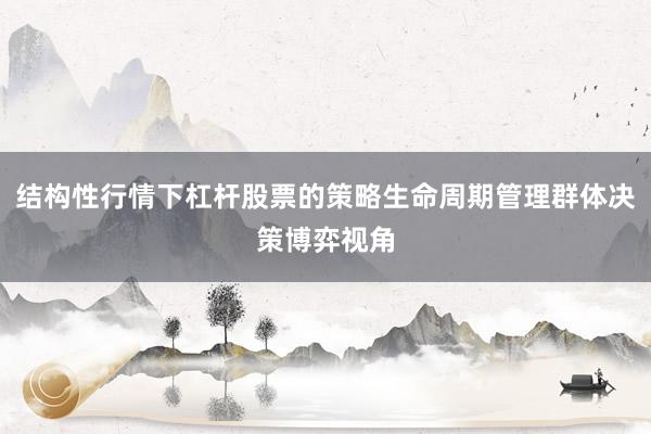 结构性行情下杠杆股票的策略生命周期管理群体决策博弈视角