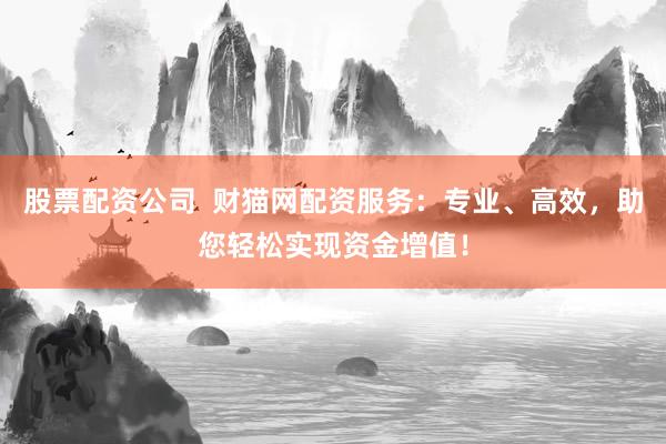 股票配资公司  财猫网配资服务：专业、高效，助您轻松实现资金增值！