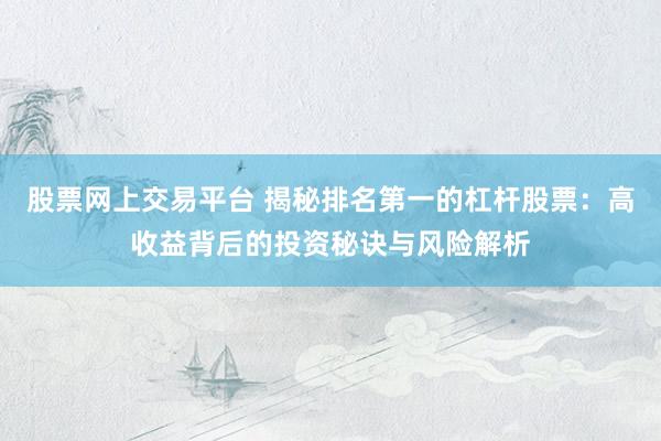 股票网上交易平台 揭秘排名第一的杠杆股票：高收益背后的投资秘诀与风险解析