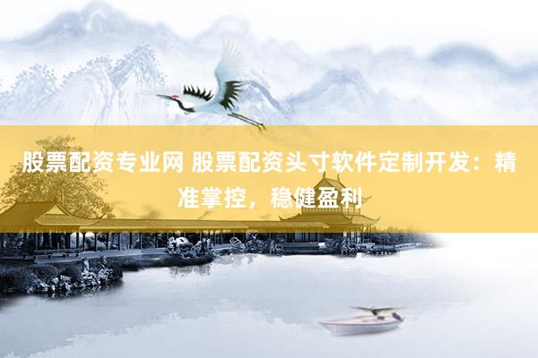 股票配资专业网 股票配资头寸软件定制开发：精准掌控，稳健盈利