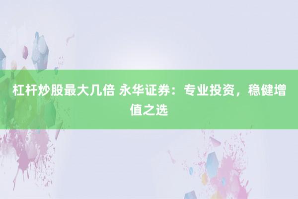 杠杆炒股最大几倍 永华证券：专业投资，稳健增值之选